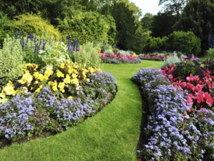 10889460gardens