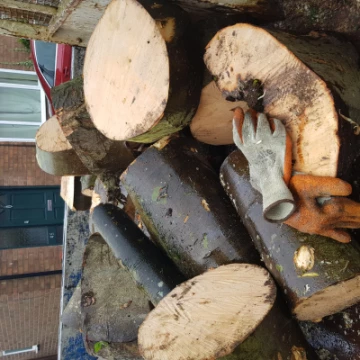 20210310084623log