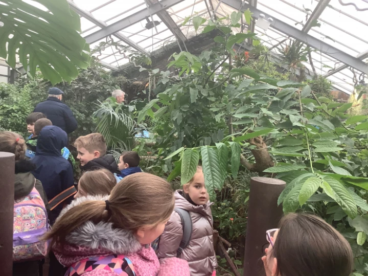 2a338d6c8b1a4942894da367e613baef