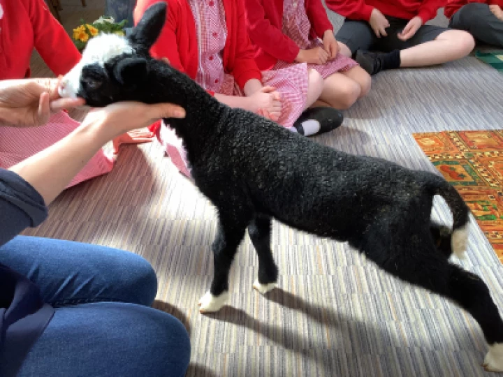 8a6b62e4382841d4bc560ec7c20eb8bf