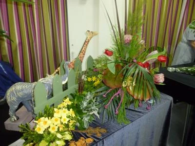 a h  t flower club march 2017 p1030207