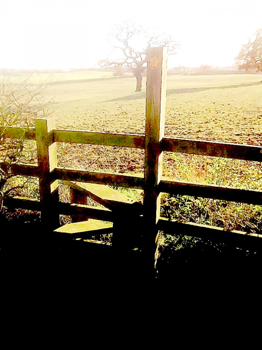 adderley path