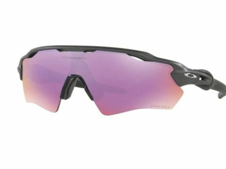 alphasunglassesimage