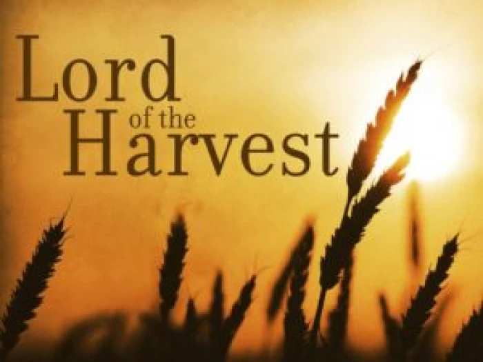 amc lord of the harvest