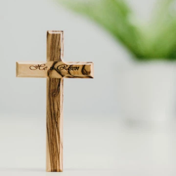 angelicareyesvz3edzfayf4unsplash