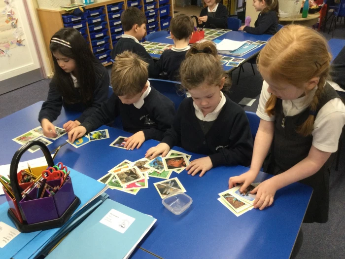 animal sorting 2