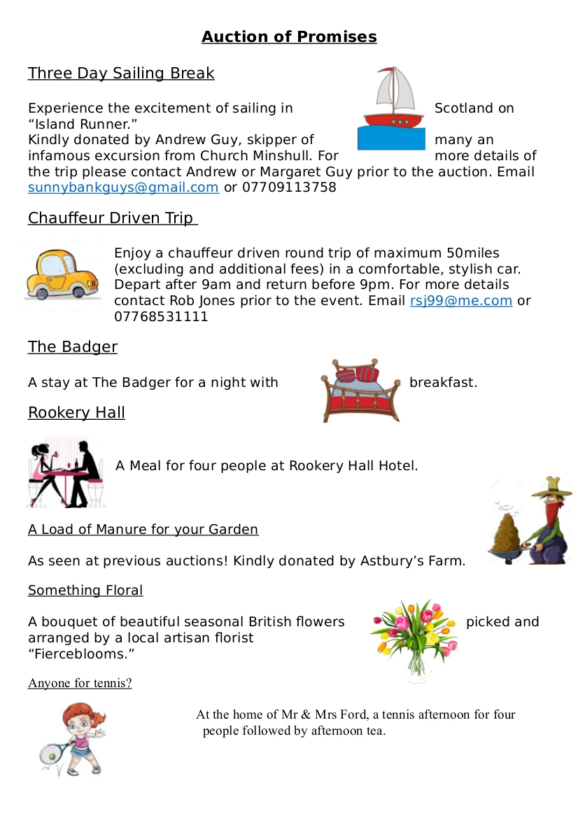 auction of promisespdf