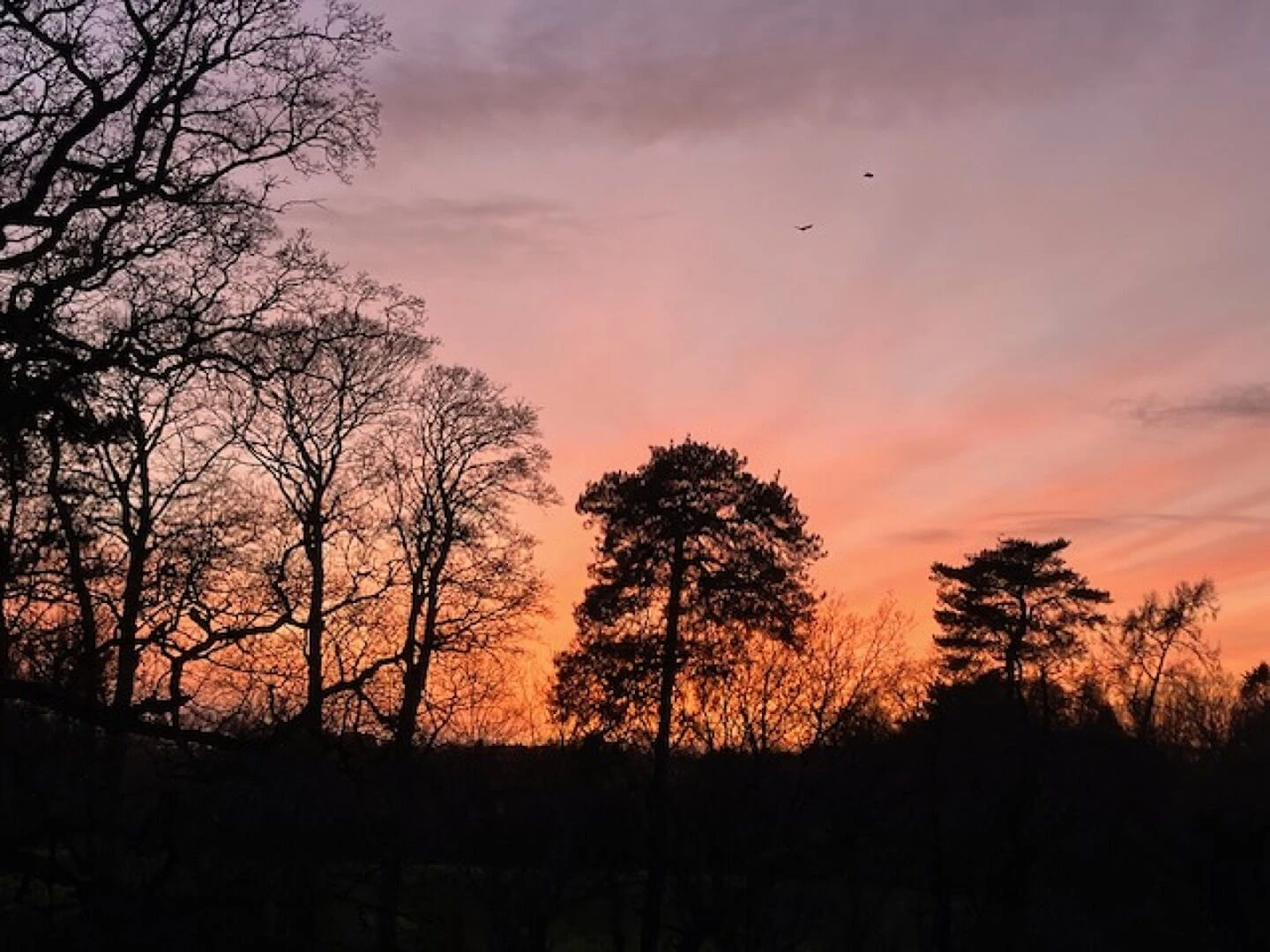 audlem jan sunsets