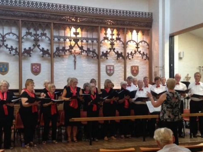 audlem voices 1