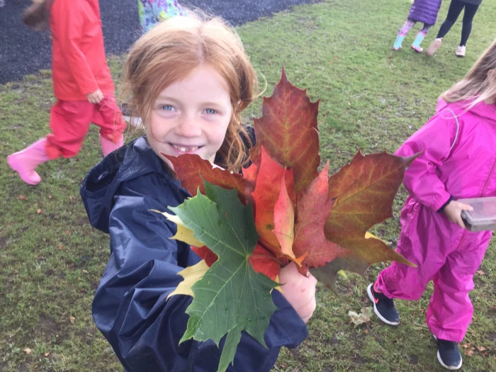 autumn leaves