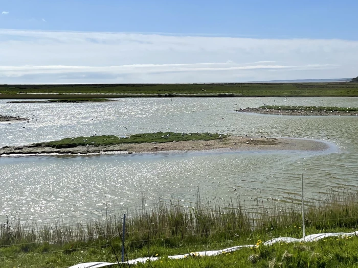 aweg leighton moss 2