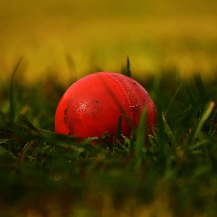 ball cricket sports