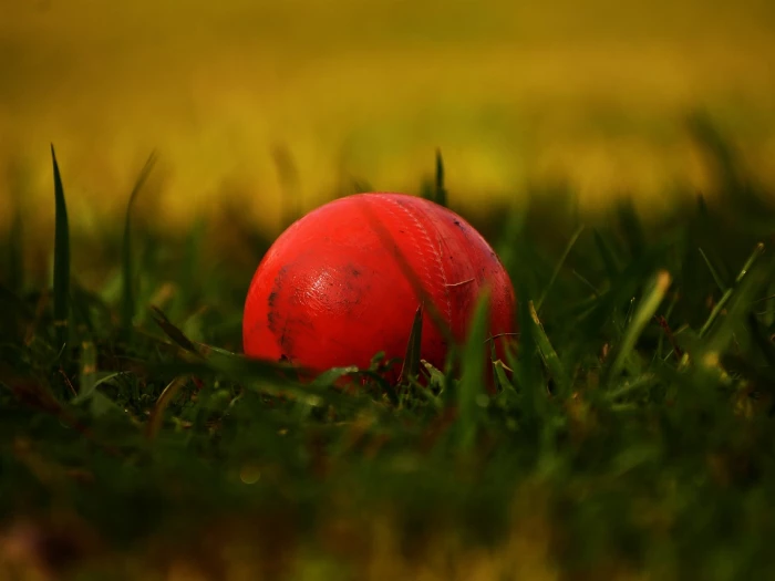 ball cricket sports