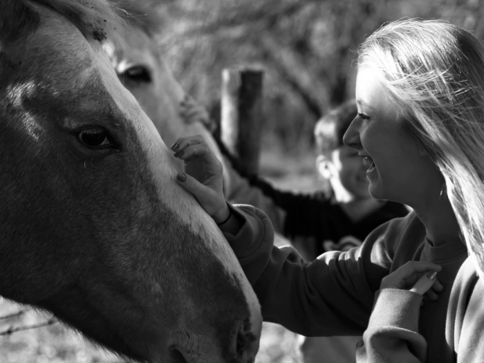 bbss equestrianimage