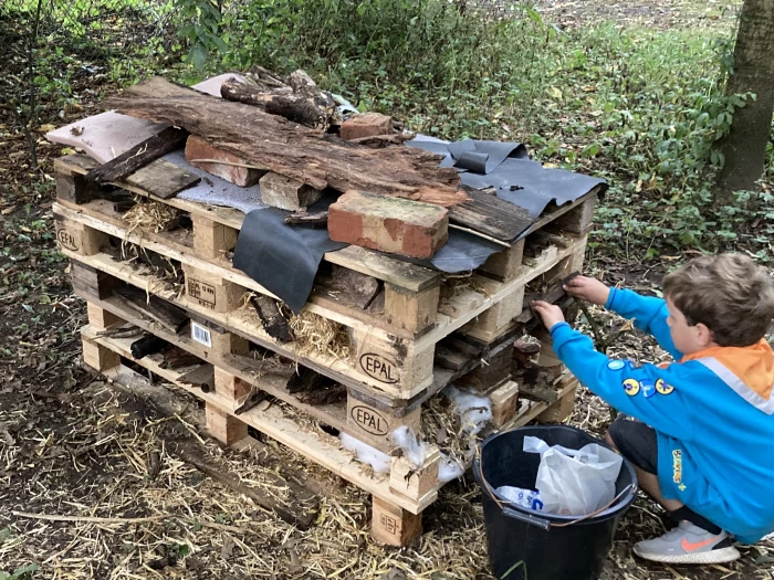 beavers bug hotel in tarvin woodlands