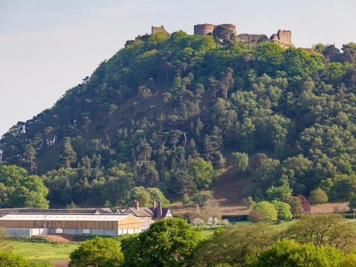 beeston castle from horsley lane cheshire 5