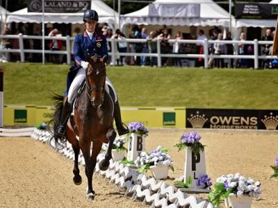 bi horse show