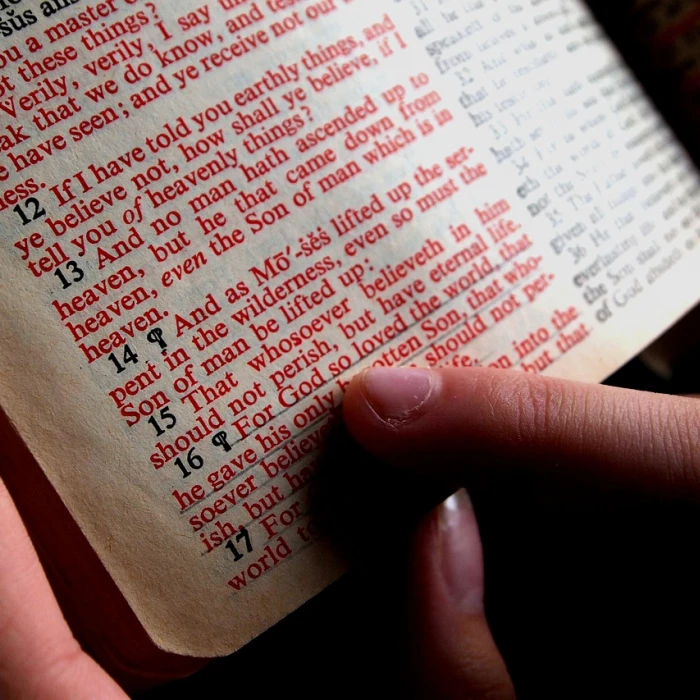 bible bible study hand