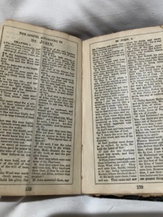 bible ip