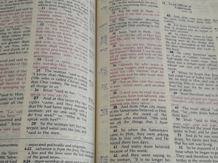 bible