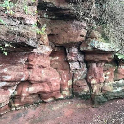 bickerton geology walk