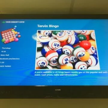 bingo