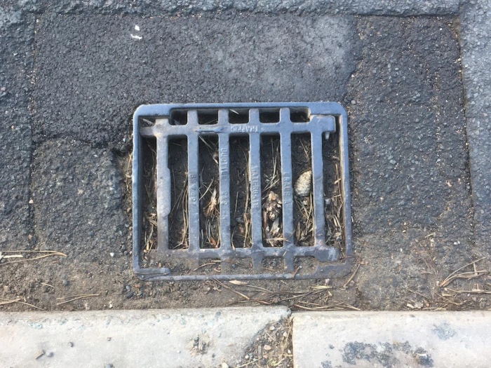 blocked gulleys