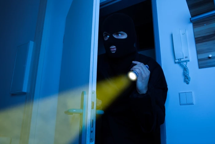 Burglar in house with torch