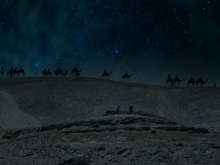 Camel Ride at Night Time