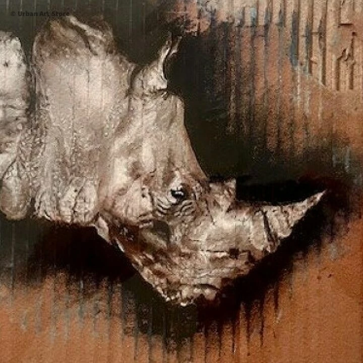 Rhino