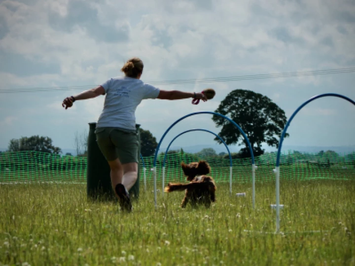 George and me hoops