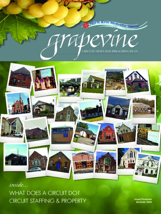 Grapevine – Newsletter 14 -Summer2020