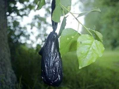 black-bag-hanging