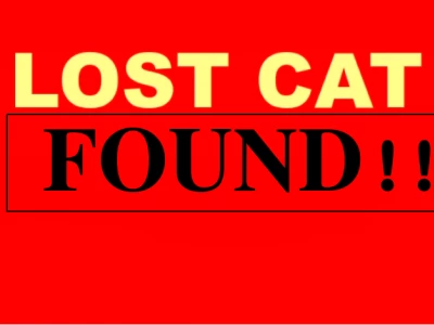 lostcat2