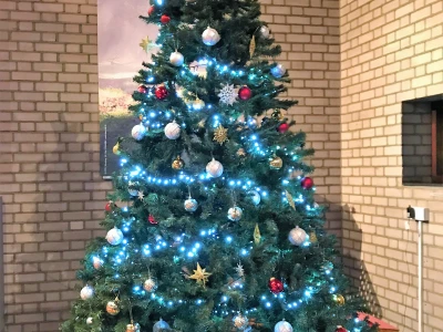 Christmas tree in Sanctuary