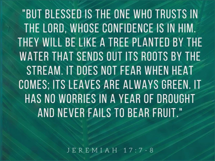 25- Scripture_Jeremiah17_7 3x4