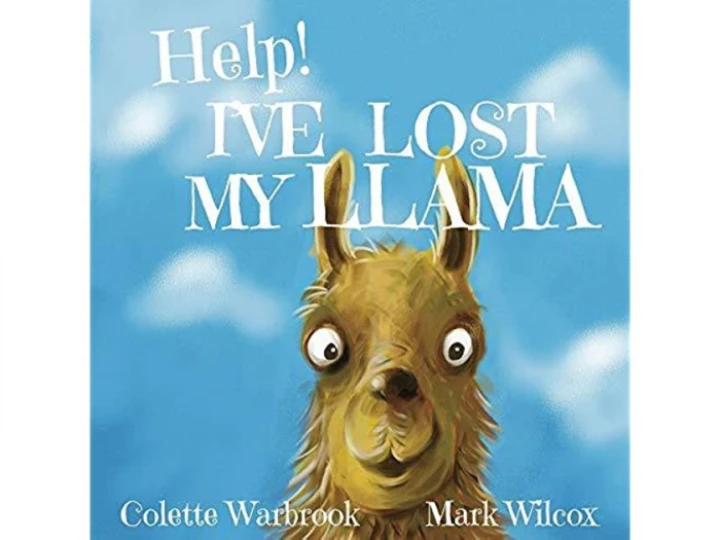 Help Ive lost
