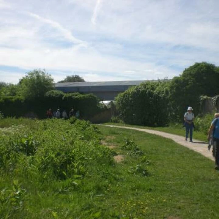 Along the Wey