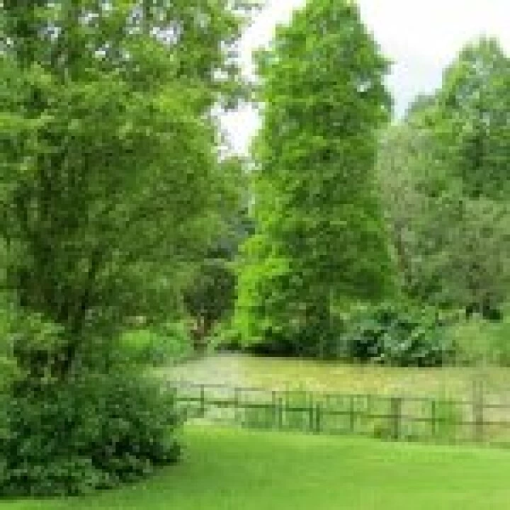 Ness Gardens jpg32