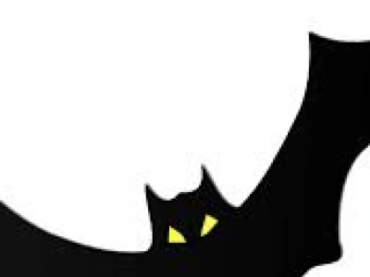 Bat5