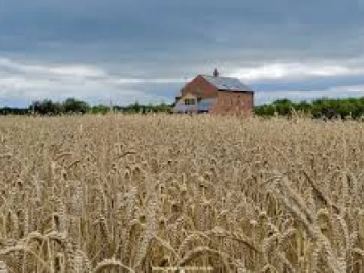 walk mill