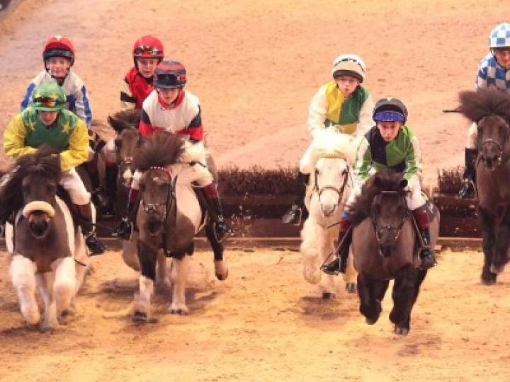 ponyu jumping