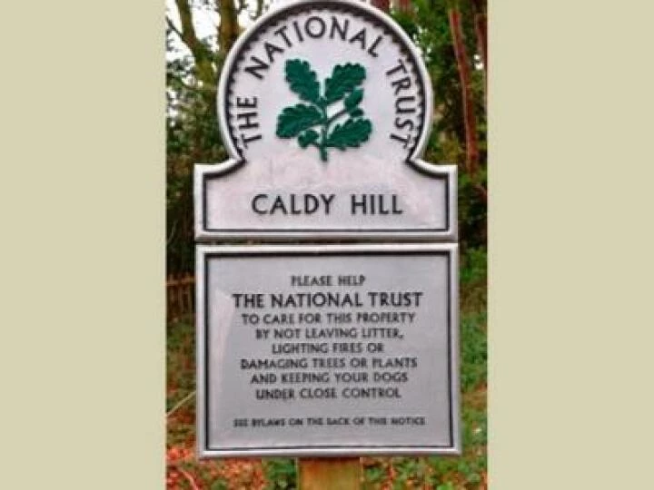 Caldy Hill