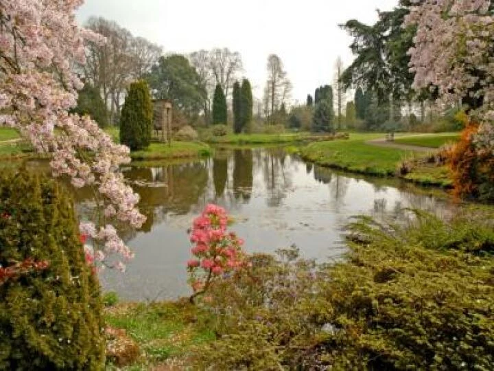 Cholmondeley Castle 1087171