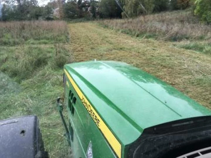 Glebe Meadow green