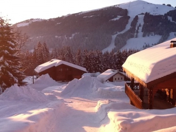 Snow scene