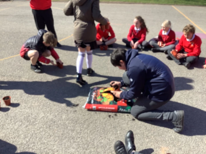 Image: 80D6CB48-437B-4924-9BD6-7972D3A64171