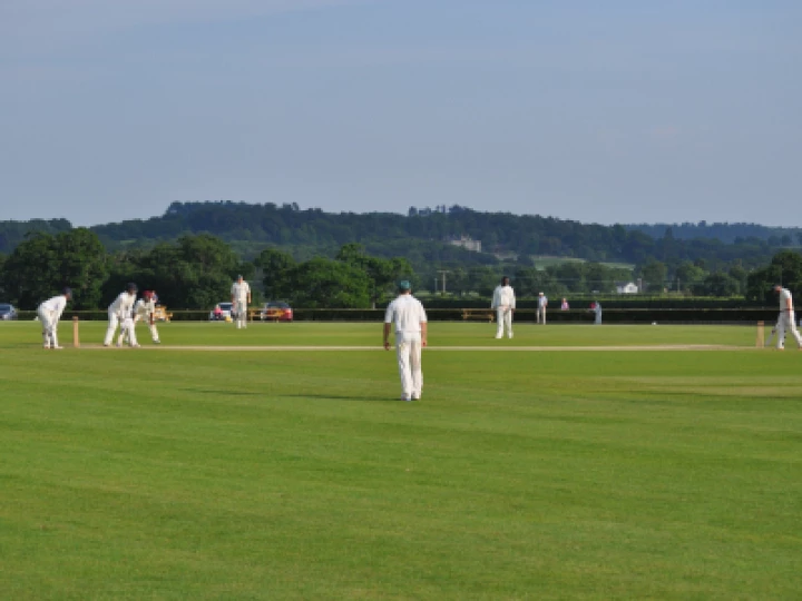 Cricket