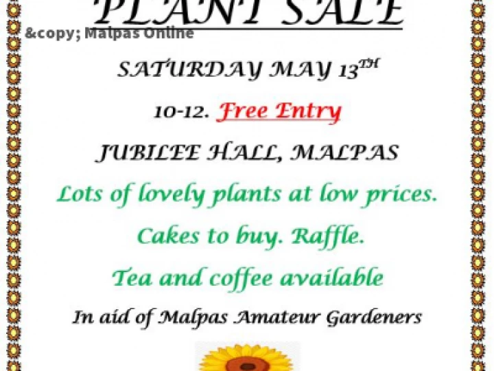 plant sale 1