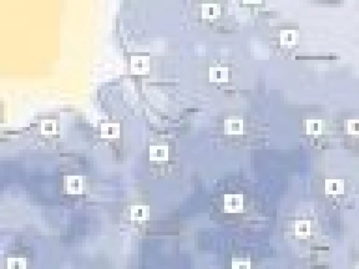Cold For Nov End